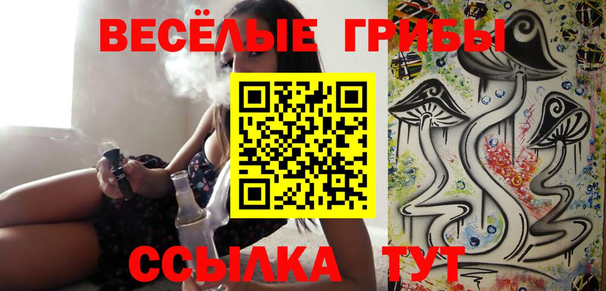 Псилоцибиновые грибы Psilocybe Новосибирск